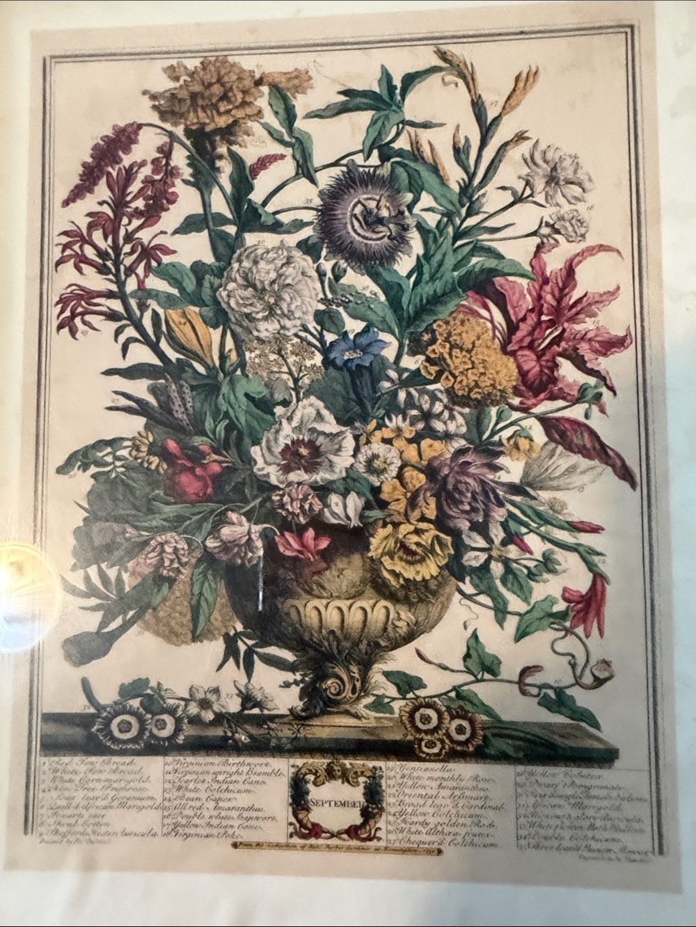 Framed Floral Print Wall Art - Multi-Color